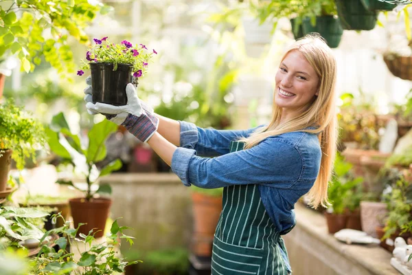 Jardineiro segurando planta com flores — Fotografia de Stock