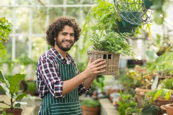 Gardener holding potted plant in wicker basket — Stock Photo, Image