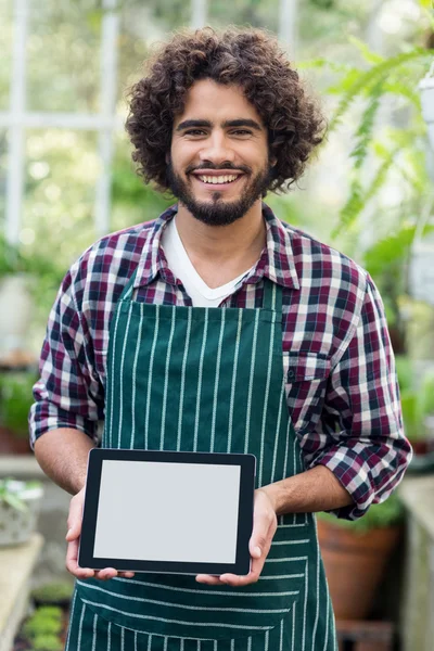 Erkek bahçıvan gösteren dijital tablet vasıl sera — Stok fotoğraf