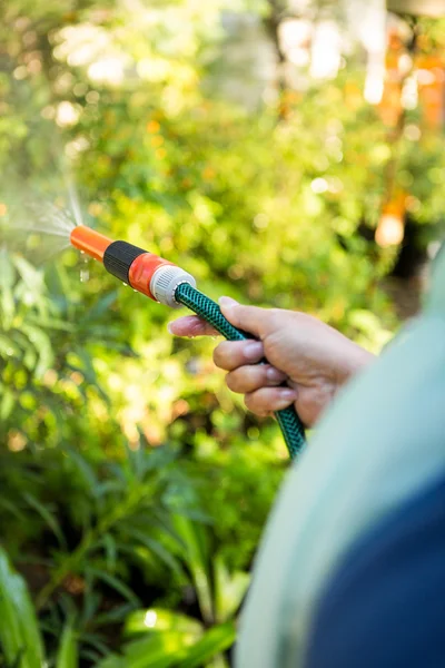 Giardiniere che innaffia da tubo flessibile a giardino — Foto Stock