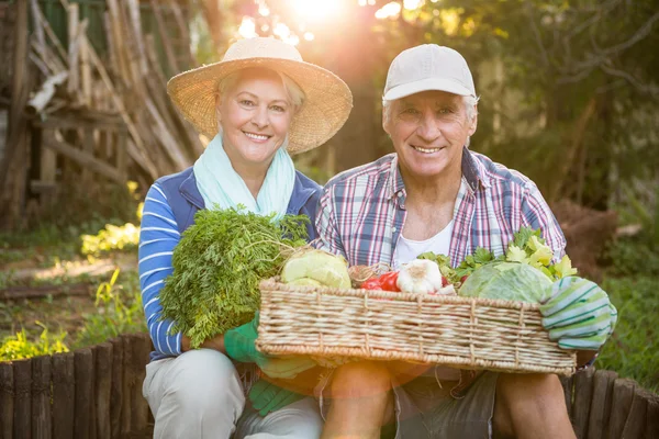 couple carrying vegetables crate at garden