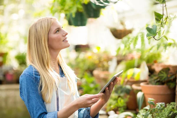 Jardinero utilizando tableta digital durante la inspección de las plantas —  Fotos de Stock