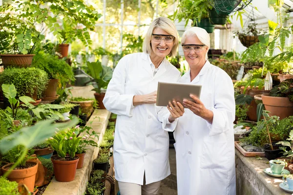 Kolegové pomocí tabletu — Stock fotografie