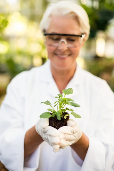 Wissenschaftlerin hält Pflanze — Stockfoto