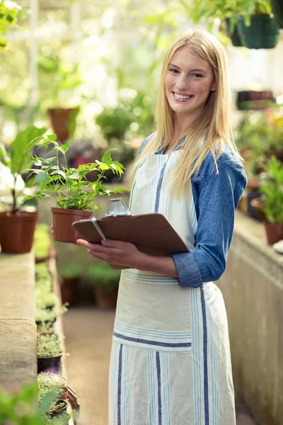 女园丁检查盆栽的植物 — 图库照片