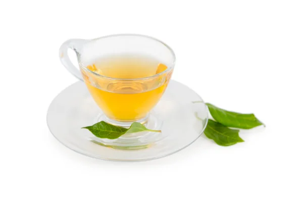 Grönt te på vit bakgrund — Stockfoto