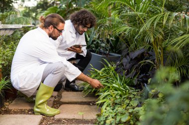 Male scientists inspecting plants clipart