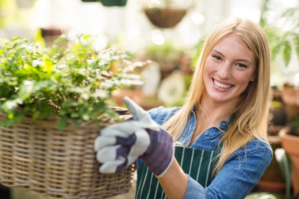 Gardener holding plants in wicker basket — Stock Photo, Image