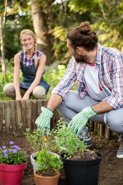 Happy zahradníci sází na zahradu — Stock fotografie