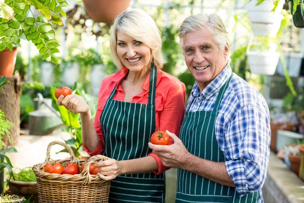 Coppia con pomodori a serra — Foto Stock