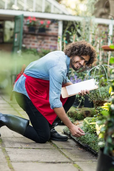 Jardinero masculino que trabaja fuera del invernadero — Foto de Stock