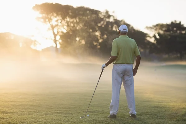 フィールドに立っている成熟したゴルフ プレーヤー — ストック写真