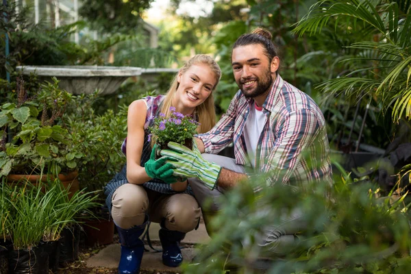 Kollegor håller krukväxter på garden — Stockfoto