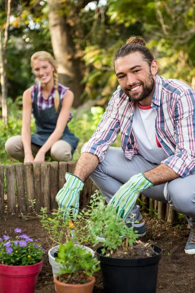 Jardineros plantación en el jardín —  Fotos de Stock