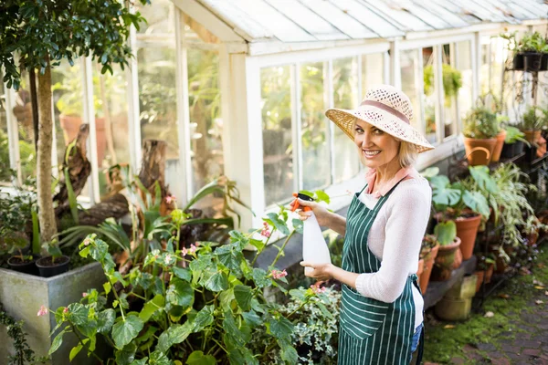 Happy jardineiro plantas de rega — Fotografia de Stock