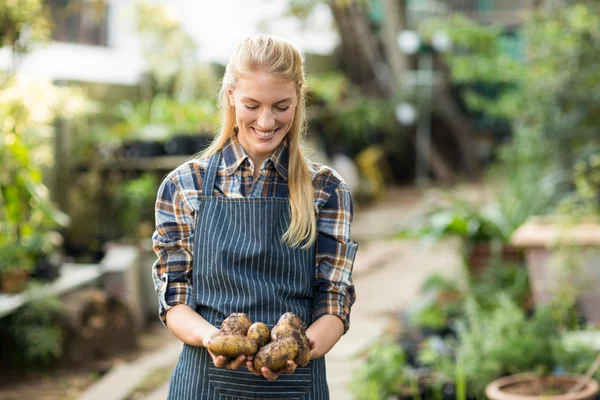 Jardinero sosteniendo patatas cosechadas — Foto de Stock