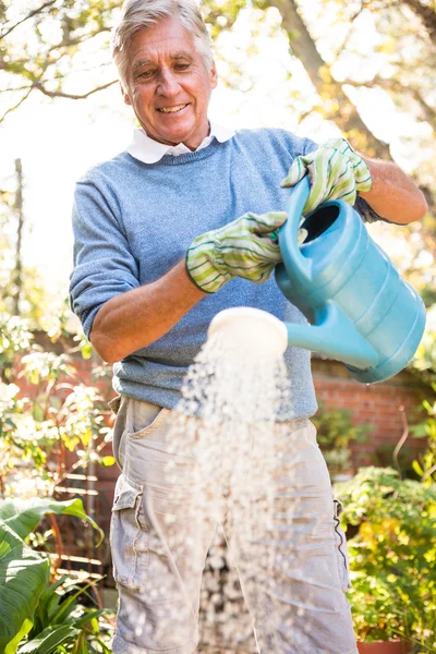 Счастливый садовник поливает растения в саду — стоковое фото
