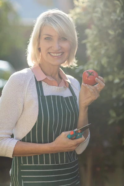 Giardiniere femminile che mostra pomodoro fresco — Foto Stock