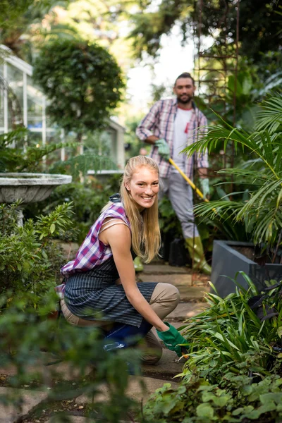 Jardineiro com colega em jardim comunitário — Fotografia de Stock