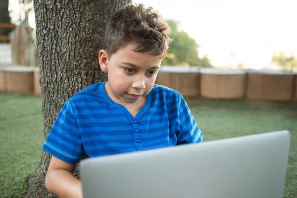 Menino usando laptop no parque — Fotografia de Stock