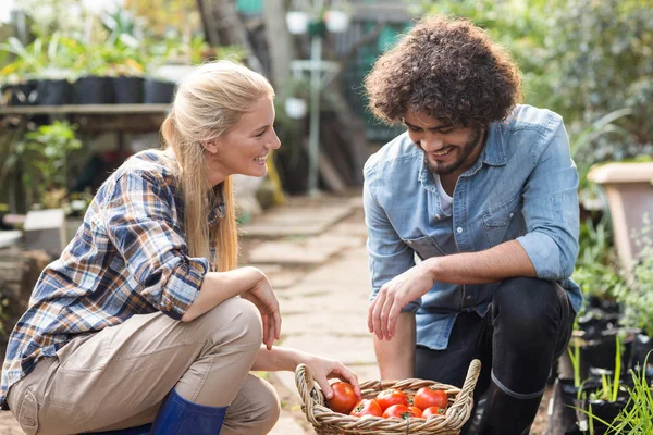 Coworkers kneeling by wicker basket — Stock Photo, Image