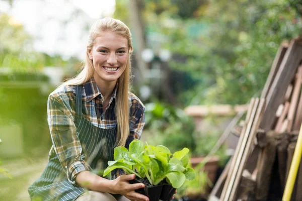 Vrouwelijke tuinman bedrijf plant — Stockfoto