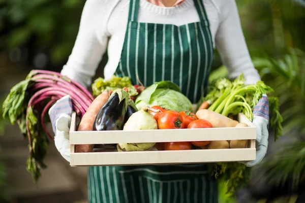 Trädgårdsmästare holding grönsaker låda — Stockfoto