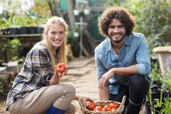 Glada medarbetare med tomat korg — Stockfoto