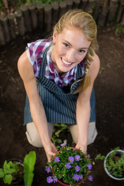 Gardener with potted plant at garden — Stock Photo, Image