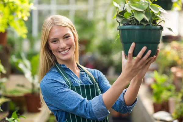 Retrato de una joven colgando planta en maceta — Foto de Stock