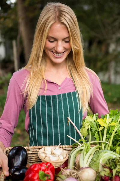Jardinero con verduras frescas en cesta — Foto de Stock