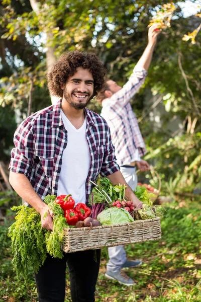 Садовник-хипстер с овощами и коллегой — стоковое фото