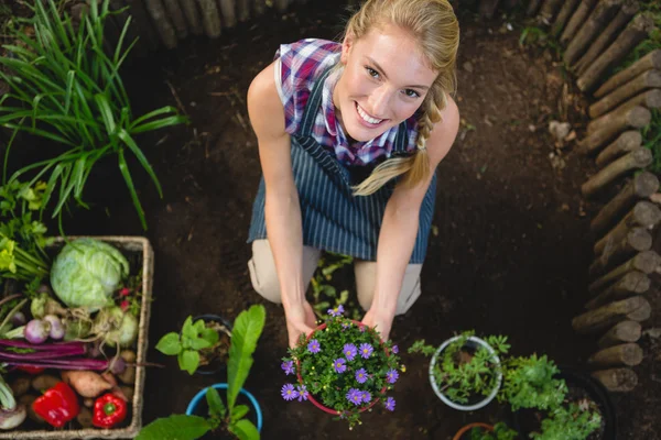 Jardinero con maceta en el jardín —  Fotos de Stock