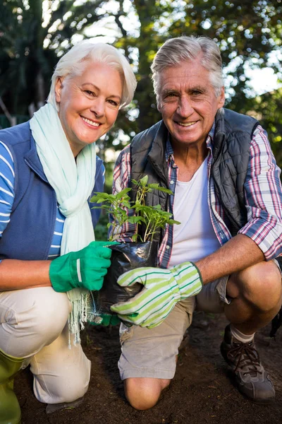 Jardiniers tenant des plantes en pot au jardin — Photo