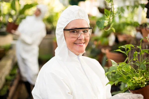 Cientista em terno limpo segurando potted — Fotografia de Stock