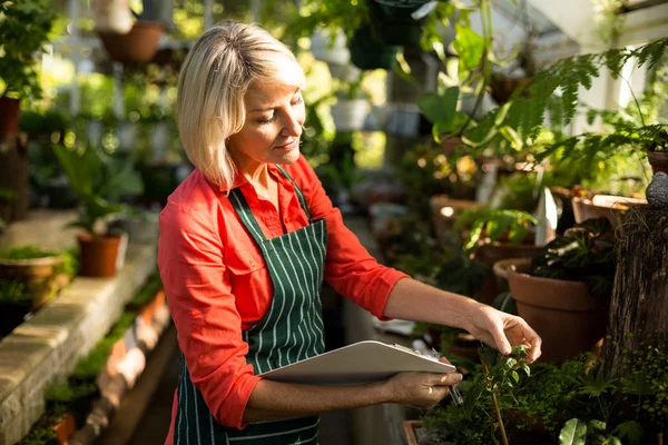 Gardener with clipboard inspecting plants — Stock Photo, Image