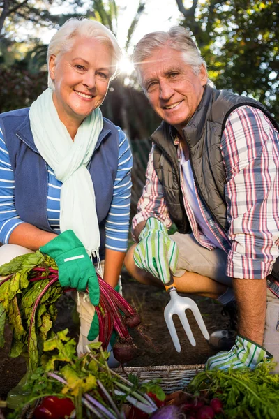 Jardineiros casal com produtos na fazenda — Fotografia de Stock