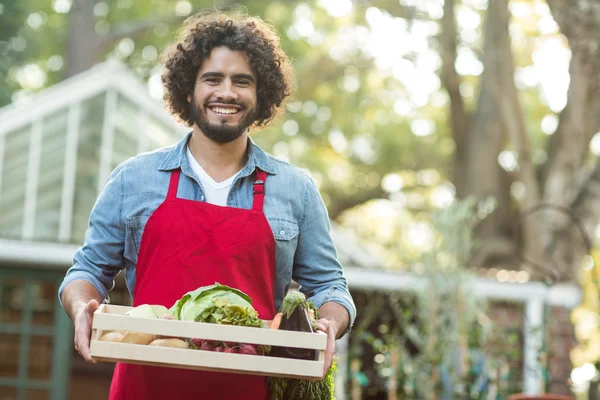 Manliga trädgårdsmästare hålla grönsaker låda utanför växthuset — Stockfoto