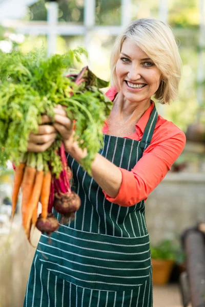 Jardinero sosteniendo zanahorias frescas en invernadero — Foto de Stock