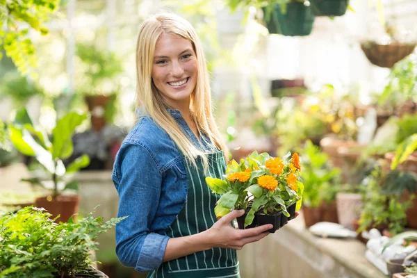 Belo jardineiro segurando flores em vaso — Fotografia de Stock