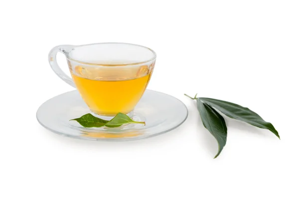 Травяной чай на белом фоне — стоковое фото