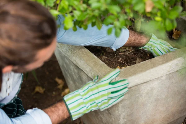 Trädgårdsmästare plantering på gemensam trädgård — Stockfoto