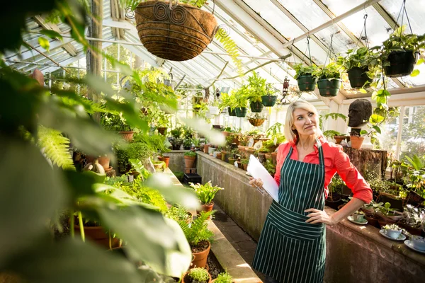 Jardinero femenino mirando plantas en maceta — Foto de Stock