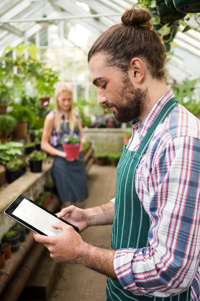 Tuinman met behulp van Tablet PC op broeikasgassen — Stockfoto