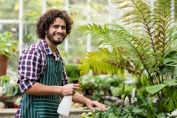 Feliz jardineiro masculino plantas de rega — Fotografia de Stock