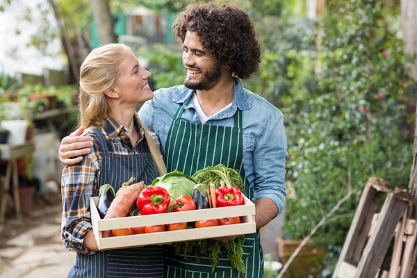 Couple holding vegetables crate outside greenhouse — Stock Photo, Image