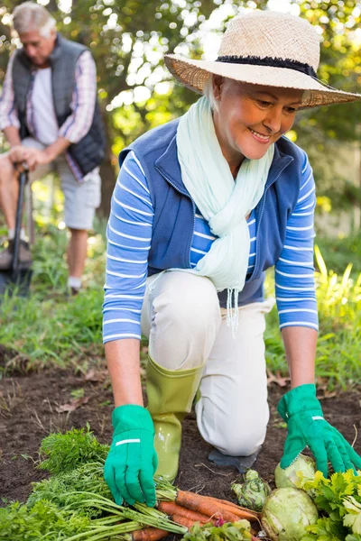 Tuinman met collega werken bij tuin — Stockfoto