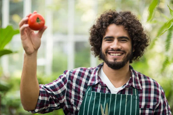 Jardinero masculino mostrando tomate fresco — Foto de Stock