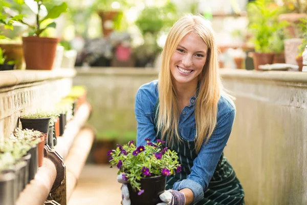 Mladá žena hospodářství kvetoucí rostlina — Stock fotografie