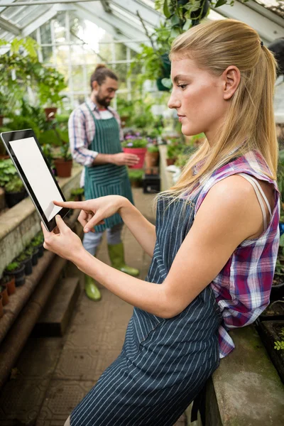 Gardener using tablet at greenhouse — Stock Photo, Image